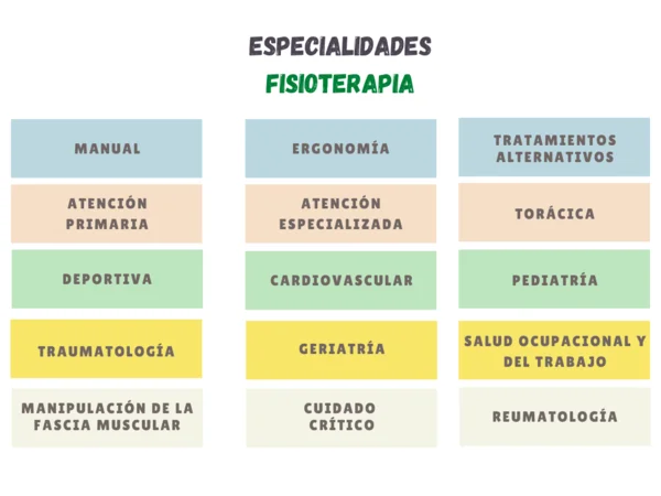 cursos de fisioterapia homologados